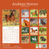 Arabian Horses_
