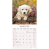 Baby Animals_