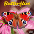 Butterflies_