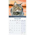 Cats_