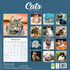 Cats_
