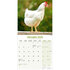 Chickens_