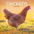 Chickens_