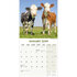 Cows_