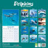 Dolphins_