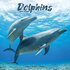 Dolphins_