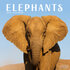 Elephants_