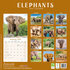 Elephants_