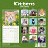 Kittens_