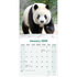 Pandas_