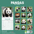 Pandas_