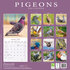 Pigeons_
