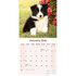 Puppies_