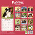 Puppies_