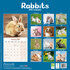 Rabbits_