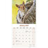 Squirrels_