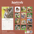 Squirrels_