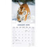 Tigers_