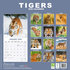 Tigers_
