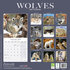 Wolves_